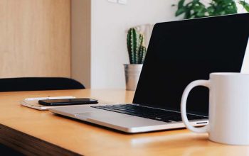 Premium one-on-one support.